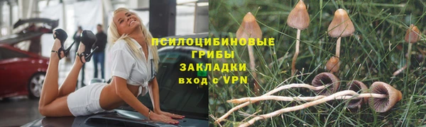 ALPHA-PVP Алексеевка